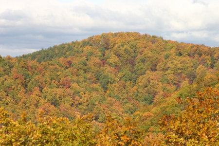 Fall colors in the Blue Ridge.