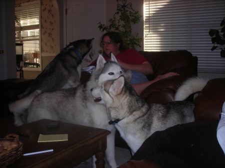 Cathy and the Huskys