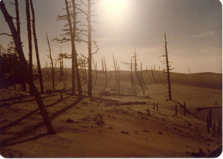 Sand Dunes