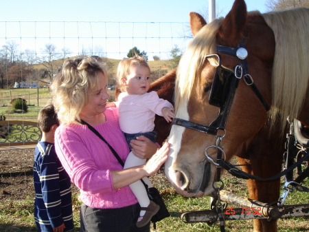 Visiting the horse stables with my grandbaby