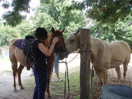 Mary, Seed and Filly