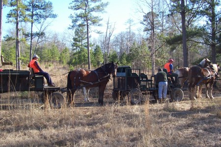 hunt wagons