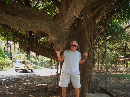 Me and the old Montopalo tree
