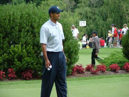 Tiger Woods at the Memorial