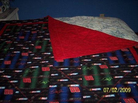 Dale Jr Quilt throw