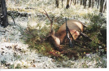 6x6 bull elk shot with muzzler loader