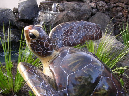 Honu-Guardian of the Sea 2007