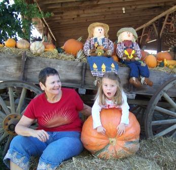 Pumpkin Patch