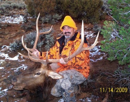 Rick's Bull Elk