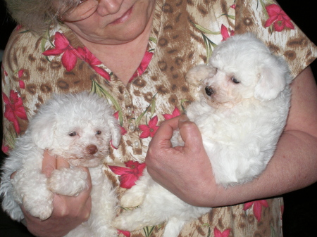 Our babies - 2006
