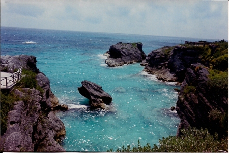 Bermuda Trip