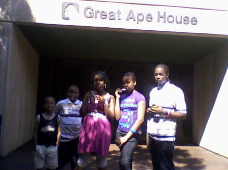 everybodygreatapehouse