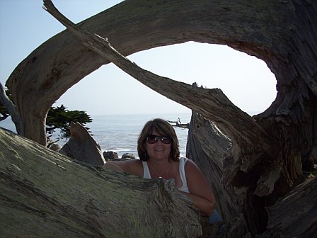 Me in a Tree