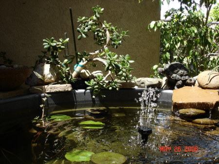 Backyard Patio Fish Pond