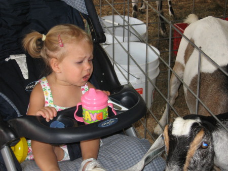 Ava at grahamsville fair