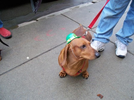 St. Patrick's Day Parade Buffalo NY