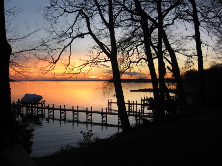 mom's potomac back yard