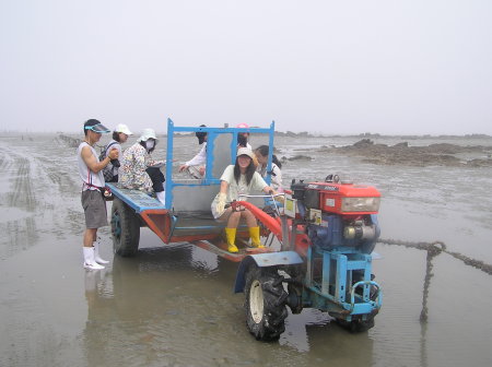 Kye Sook driving tractor