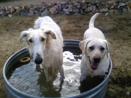 Andi and Layla in pool