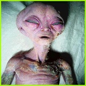 real_alien_pic