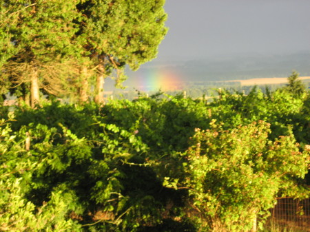 Off of Dad's porch.  Ore wine country