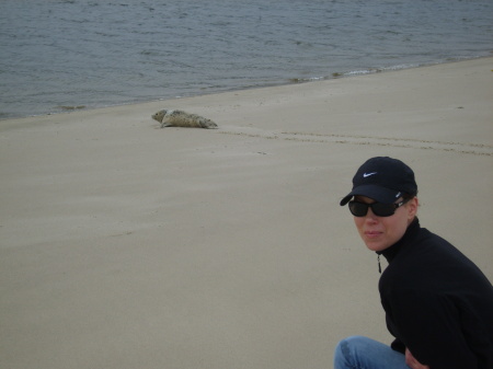 Me with a baby seal at Waldport Beach