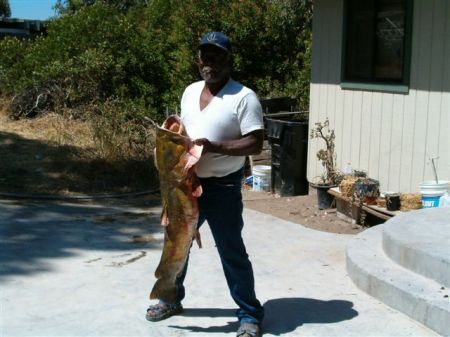 a big one (57 lbs) catfish