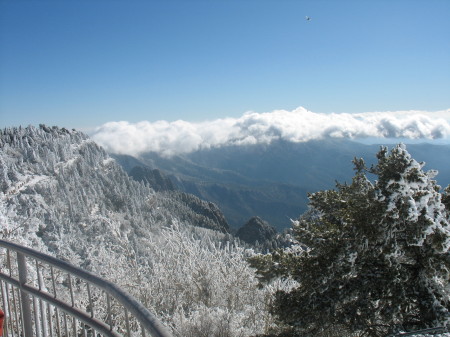 Sandia MT