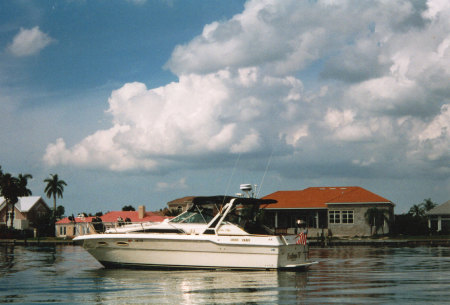 Searay 330