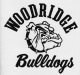 Woodridge High School Reunion reunion event on Jul 27, 2013 image