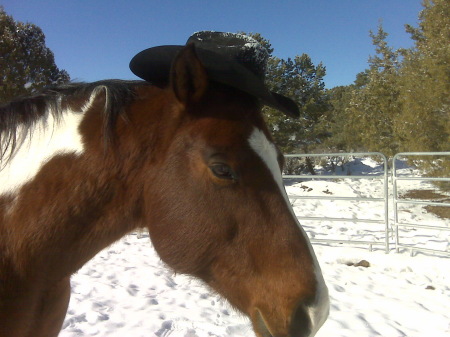 puff hat