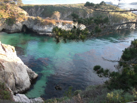 Point Lobos, Carmel Highlands, CA