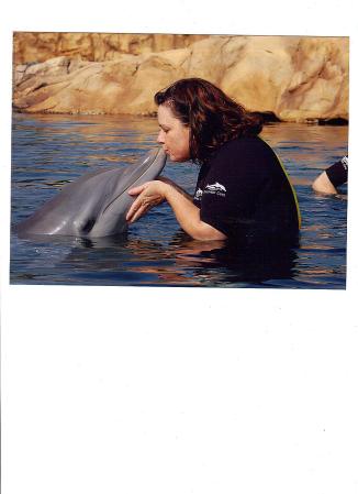 discovery cove 005