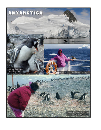 Norma and Gentoo Penguins