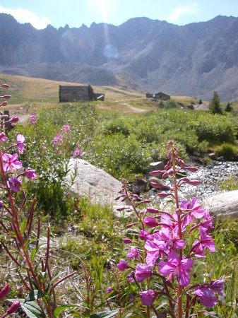 More Colorado High Country while hiking