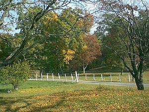 house in fall