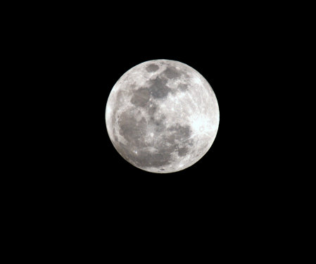 Wolf Moon Jan 2010