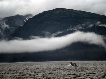 Alaska 2009