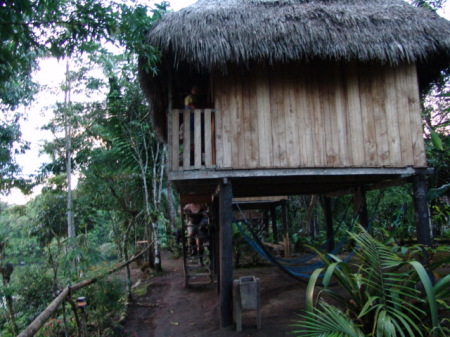 Ecuador 2008 Amazon Jungle