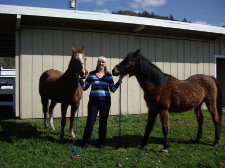 My pasture puppies