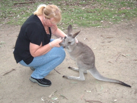 Petting a Kangaroo