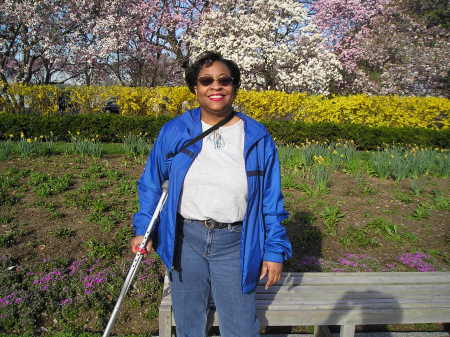 At the Cherry Blossom Festival in DC