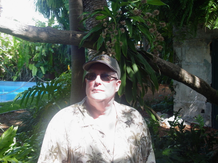 In the garden at Hemmingway's in Key West.