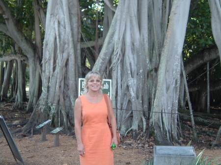 In front of Banyan Tree, Ford-Edison Estate