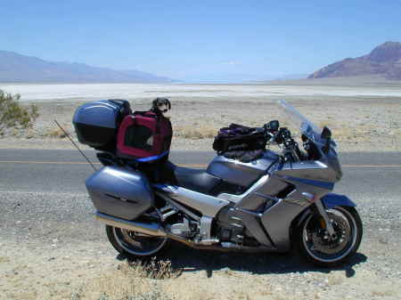 My dachshund Mojave in Death Valley