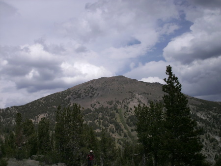 mt rose from trail head