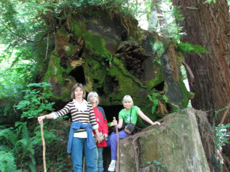 Del Norte Oregon camping 041