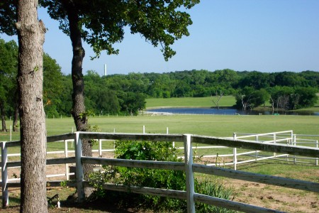 A view of some of our ranch