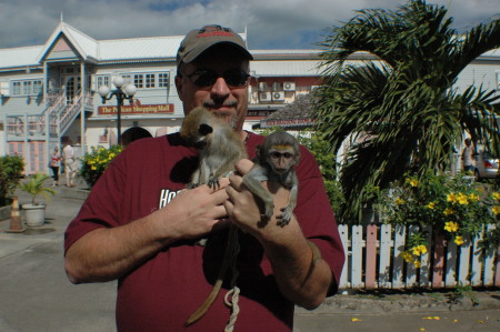 Playing with Monkeys in Barbados