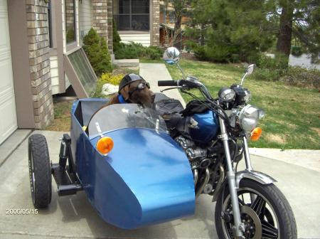 Hank in his side car..... Let's go, let's go!!